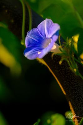 06132024001-WEB.jpg