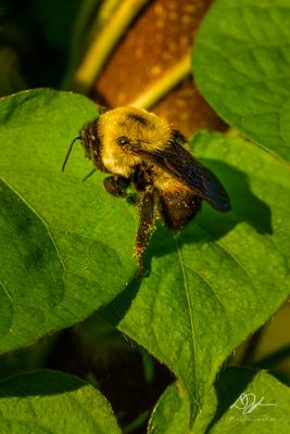 06152024001-WEB.jpg