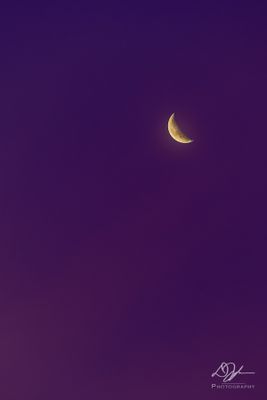06302024001-WEB.jpg