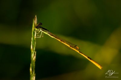 07022024001-WEB.jpg