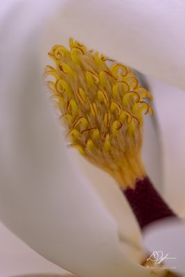 07072024001-WEB.jpg