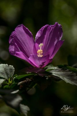 07092024001-WEB.jpg