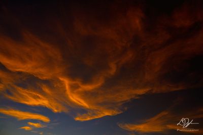 07102024001-WEB.jpg