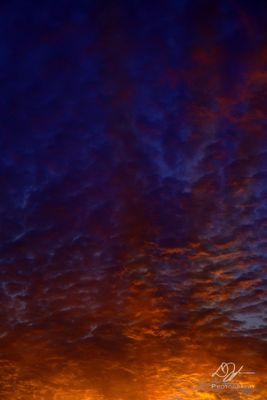 07122024001-WEB.jpg
