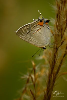 07132024001-WEB.jpg