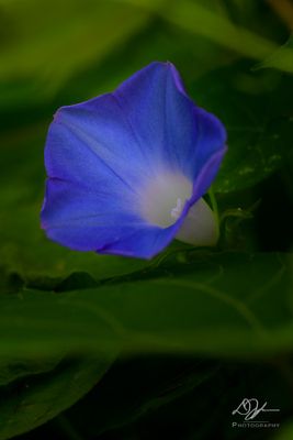 07142024001-WEB.jpg