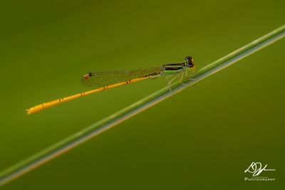 07182024001-WEB.jpg