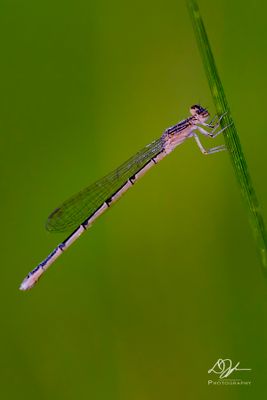 07212024001-WEB.jpg