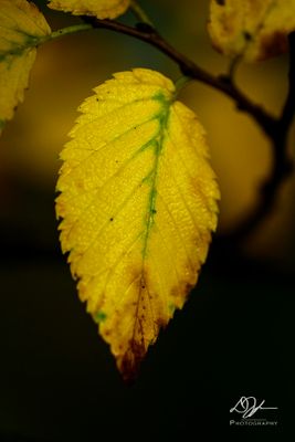 07232024002-WEB.jpg