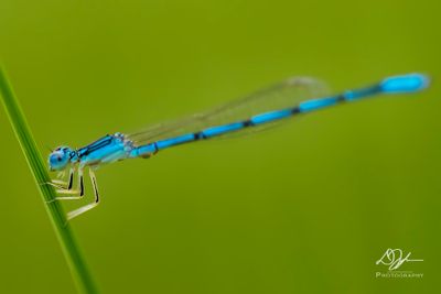 07262024001-WEB.jpg