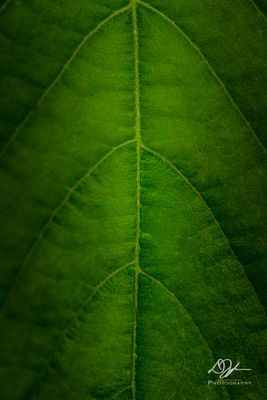 07272024001-WEB.jpg