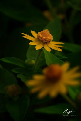 08032024001-WEB.jpg