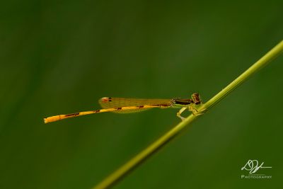 08042024001-WEB.jpg