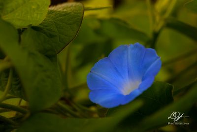 08112024001-WEB.jpg