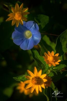 08182024001-WEB.jpg
