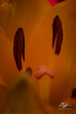 08192024001-WEB.jpg
