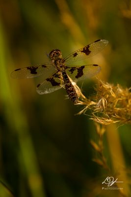 08232024001-WEB.jpg