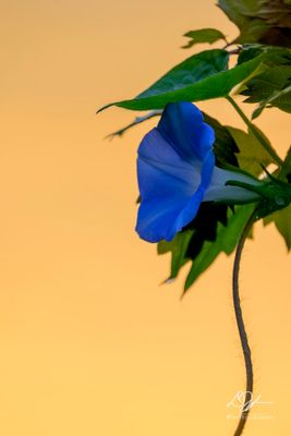 08302024001-WEB.jpg
