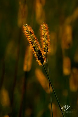09022024002-WEB.jpg