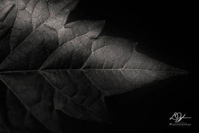 09102024001-WEB.jpg