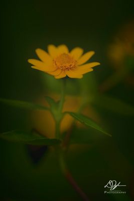 09122024001-WEB.jpg