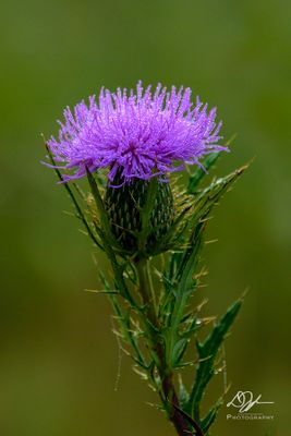 09162024001-WEB.jpg