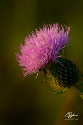 09232024001-WEB.jpg