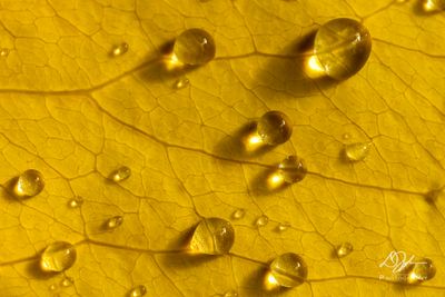 09242024001-WEB.jpg