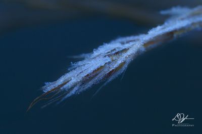 12222024001WEB.jpg