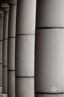 03032025001WEB.jpg