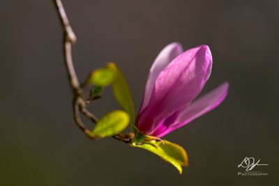 03172025001WEB.jpg