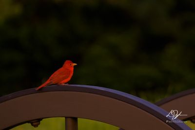 06062025001WEB.jpg