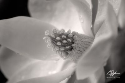 06172025001WEB.jpg