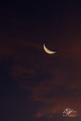 g13/70/1195770/3/175633584.6c68d7e3.JPEG
