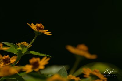 07282025001WEB.jpg