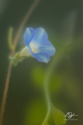 07292025001WEB.jpg