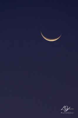 09182025001WEB.jpg