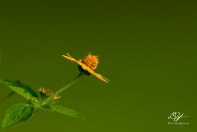 09252025001WEB.jpg