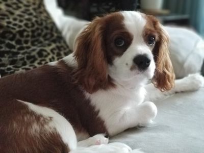 20190628_174845.jpg