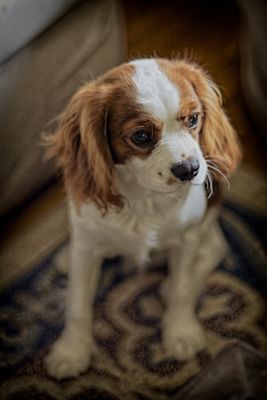 5DM30025c copy(3).jpg