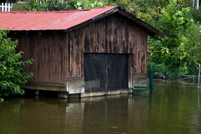 IMG_7316.JPG