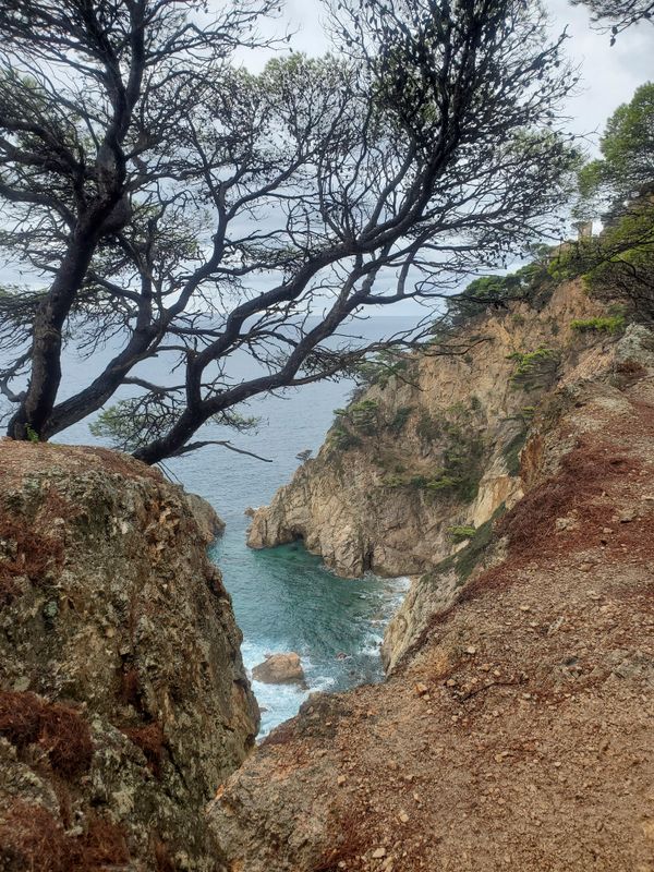 Coastal path walk from Tossa to Cala Pola