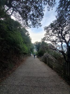 Montserrat