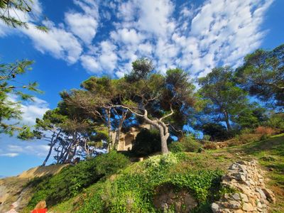 Tossa de Mar