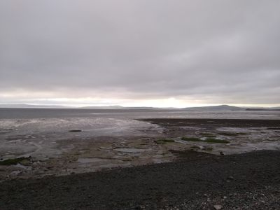IMG_20220706_200858486.jpg