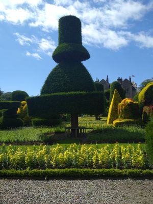 IMG_20220707_143647386.jpg