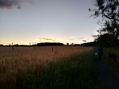 IMG_20220709_215236580_HDR.jpg