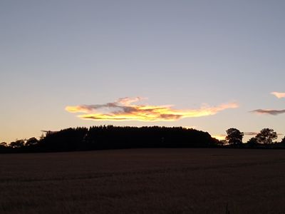 IMG_20220709_215335578.jpg