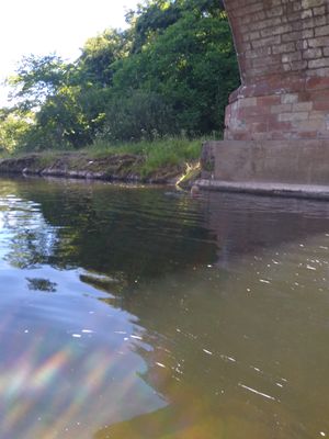 IMG_20220710_102217414.jpg