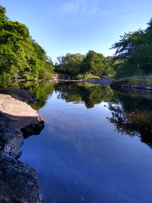 IMG_20220716_091102442_HDR.jpg